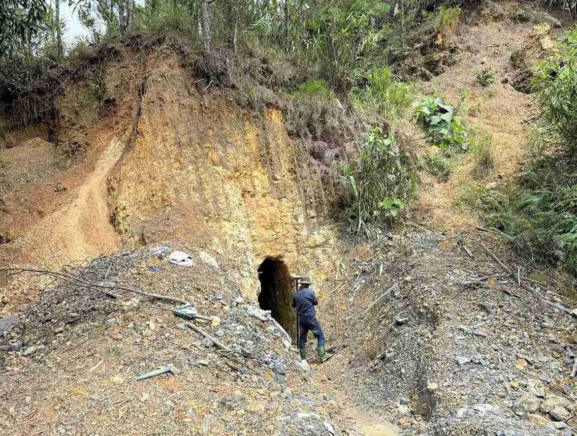 Tap kich ‘vang tac’, thu giu 18 cay vang hinh anh