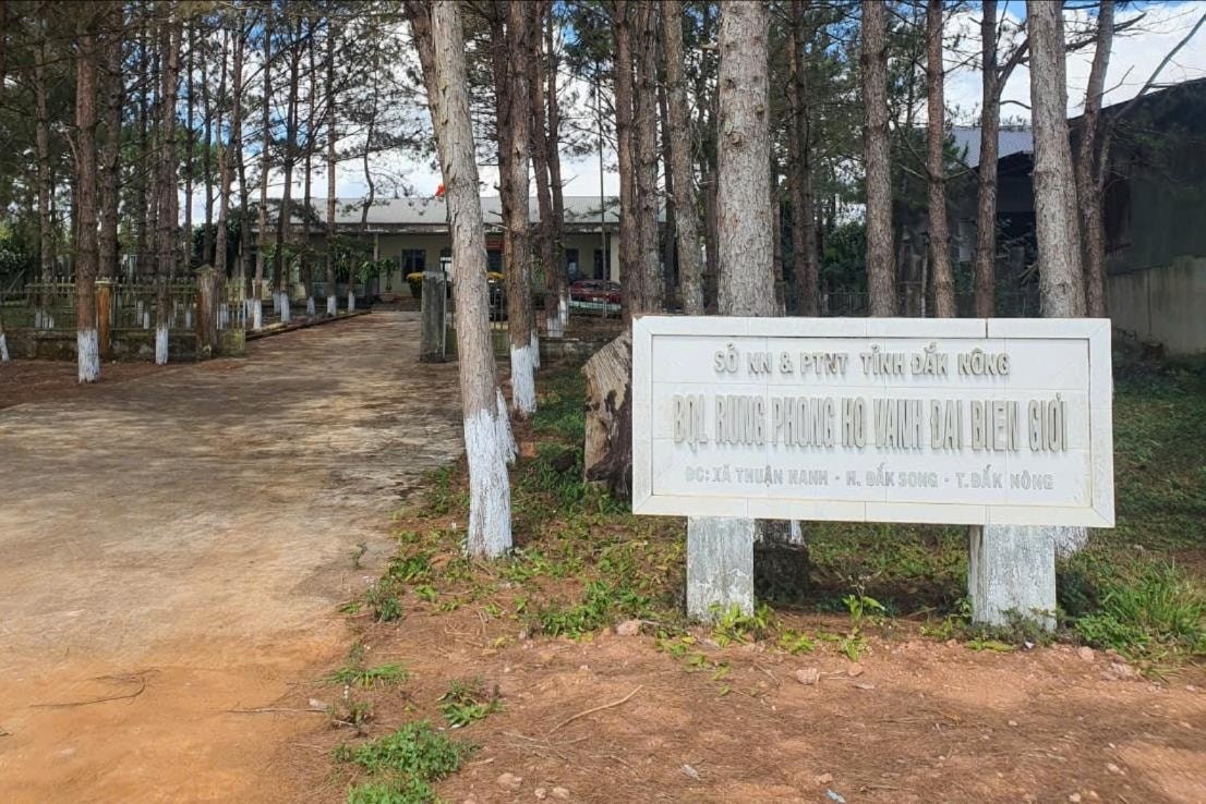 Bat pho giam doc Ban quan ly rung phong ho vanh dai bien gioi hinh anh