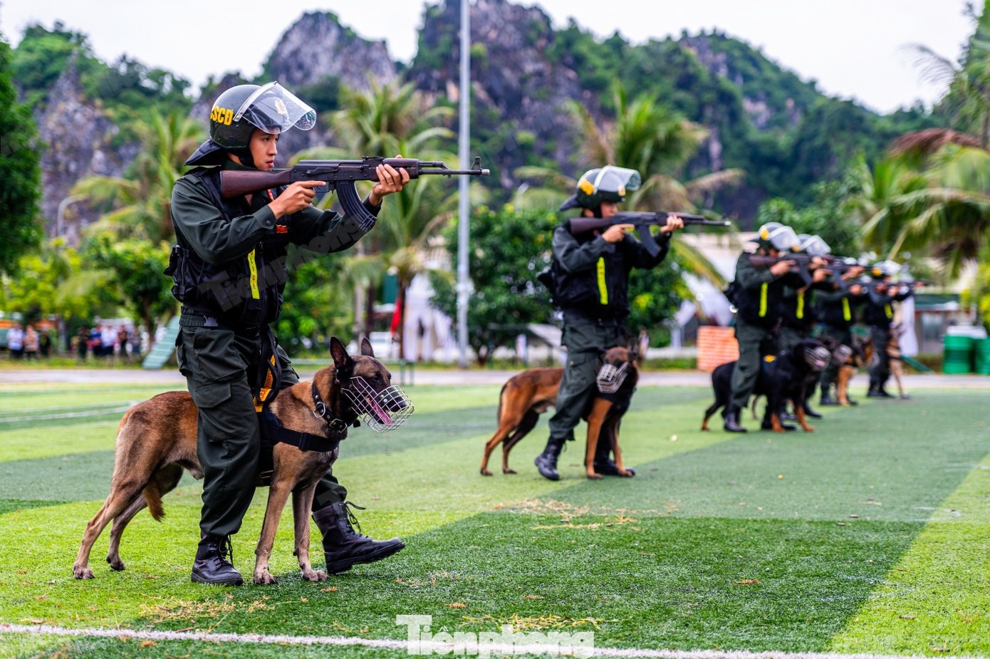 Cảnh khuyển ảnh 8 Canh khuyen anh 8