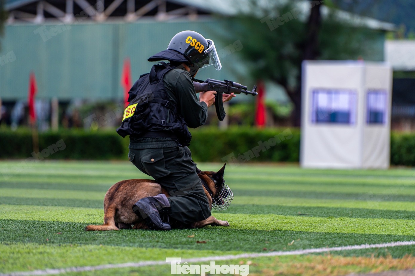 Cảnh khuyển ảnh 9 Canh khuyen anh 9