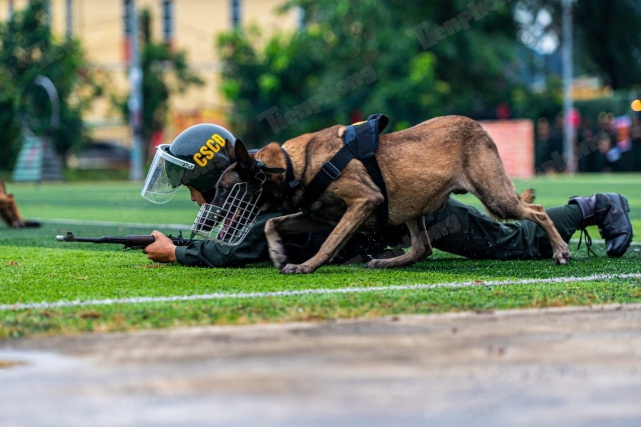 Xem canh khuyen dien tap tan cong toi pham van chuyen ma tuy hinh anh