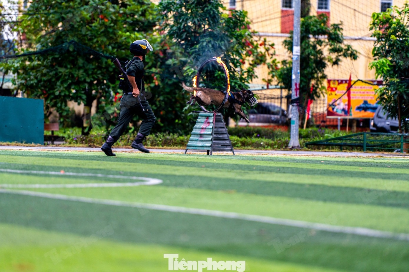 Cảnh khuyển ảnh 11 Canh khuyen anh 11