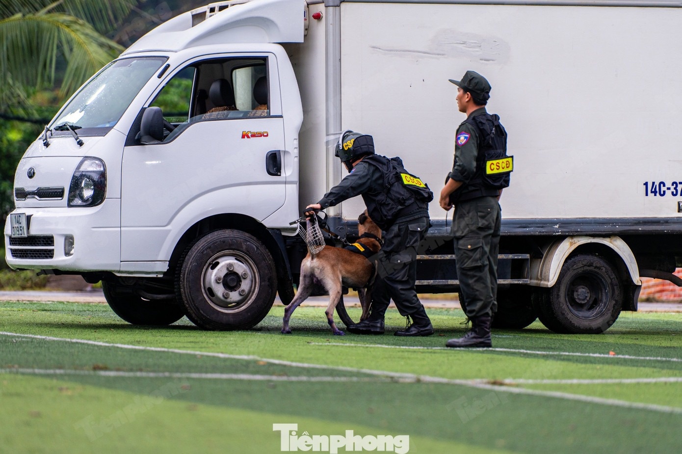 Cảnh khuyển ảnh 3 Canh khuyen anh 3