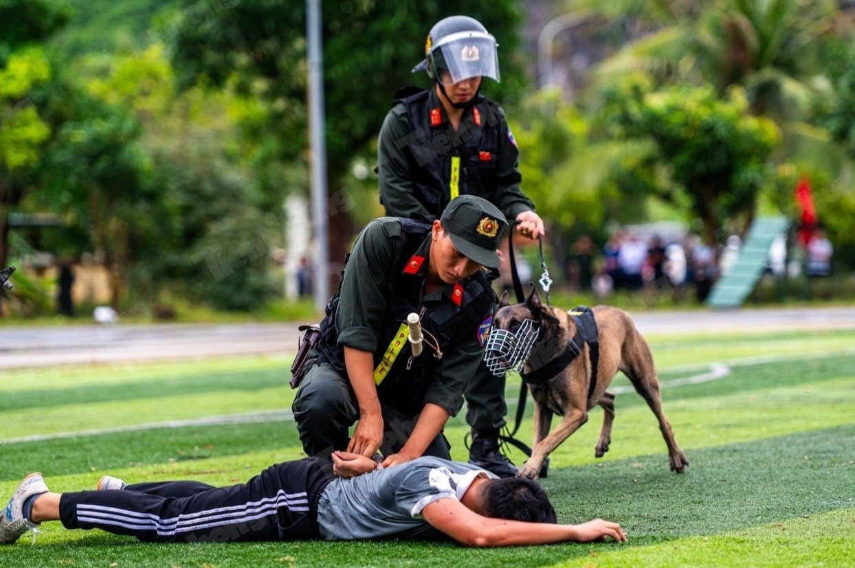 Video canh khuyen bat toi pham van chuyen ma tuy, thuoc no hinh anh