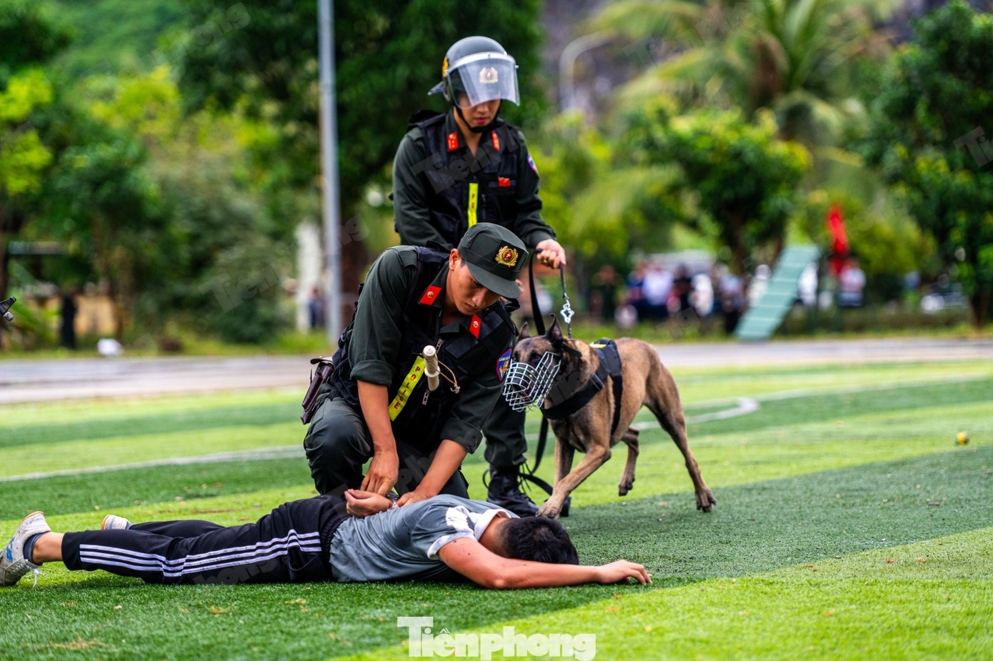 Cảnh khuyển ảnh 6 Canh khuyen anh 6