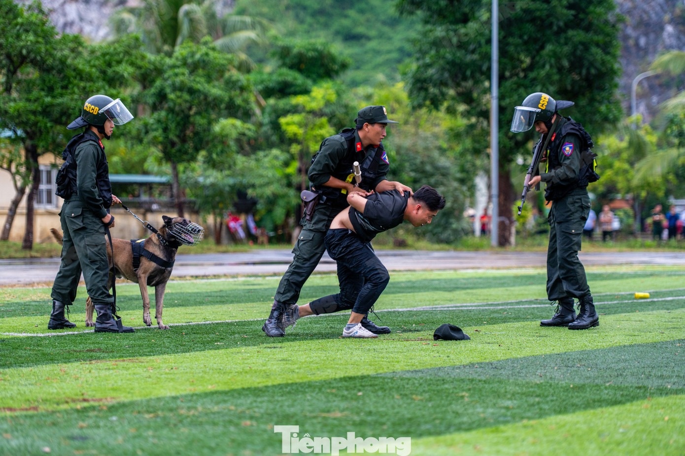 Cảnh khuyển ảnh 7 Canh khuyen anh 7