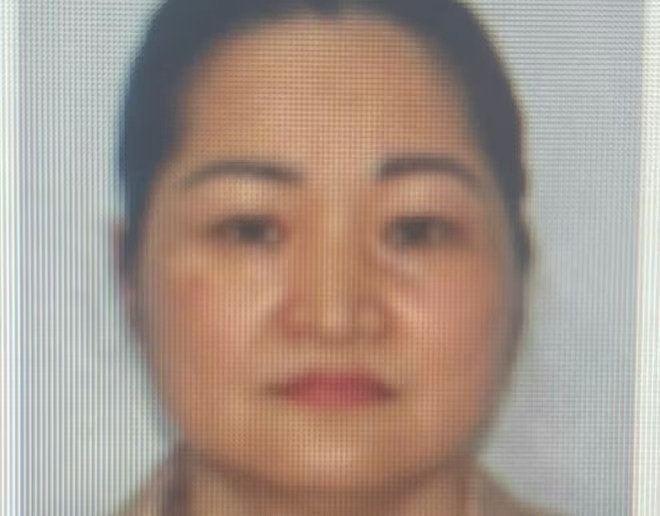 Cho vay nang lai,  Hon 300 ty,  Cong ty Thuy Nguyen,  Doanh nghiep Thuy Nguyen anh 1