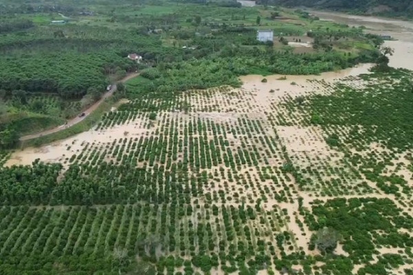 Lam Dong yeu cau cac cong ty thuy dien xa nuoc ho chua de don lu hinh anh