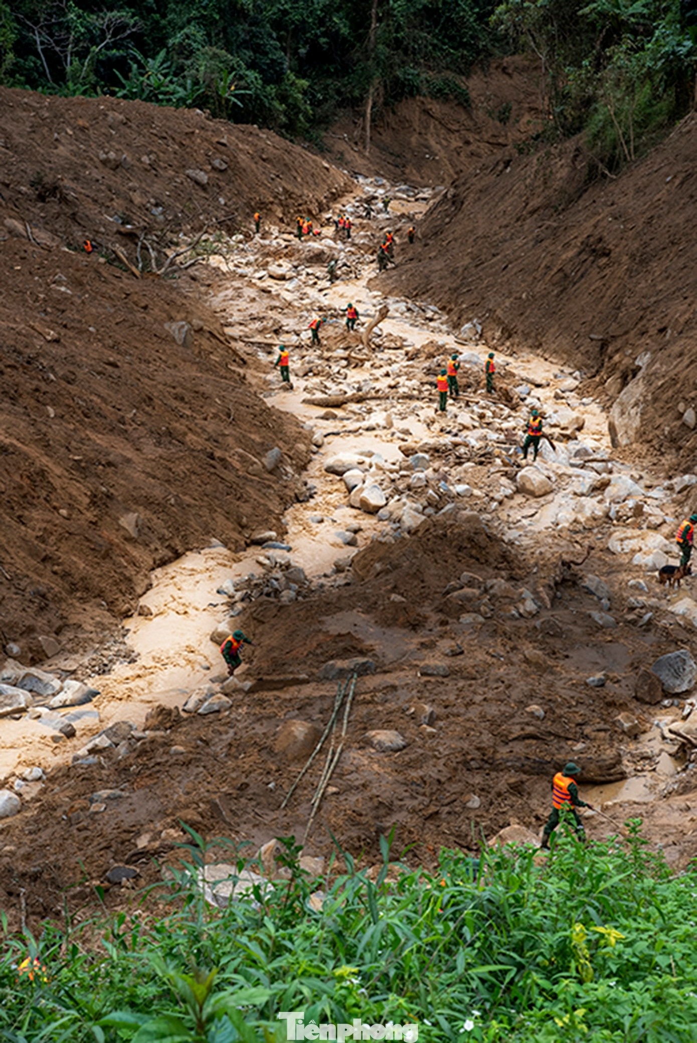 tim nguoi mat tich anh 1