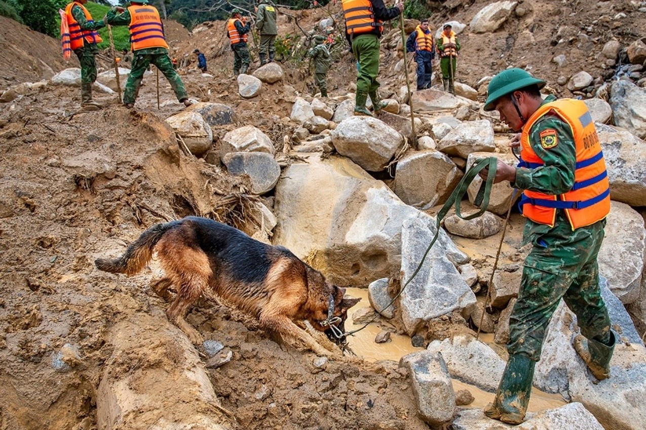 Can canh nhung chu cho cuu ho Lang Nu tim nguoi mat tich o Da Nang hinh anh