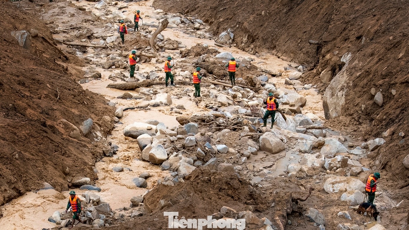 tim nguoi mat tich anh 3