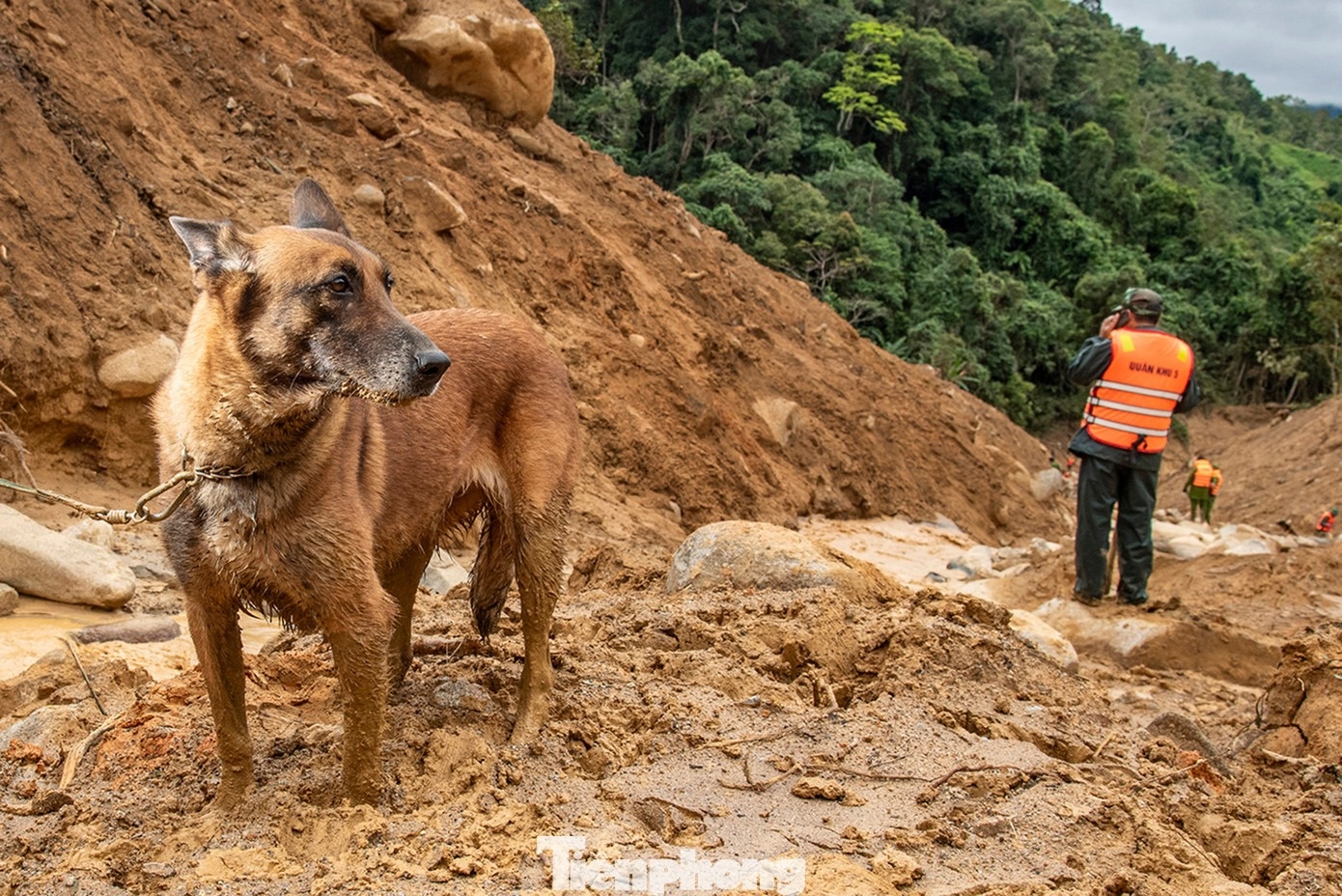 Canh khuyen tim hai nguoi mat tich o Da Nang hinh anh