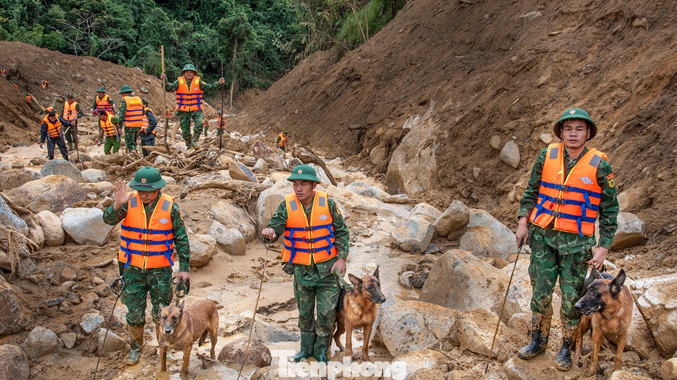 tim nguoi mat tich anh 5