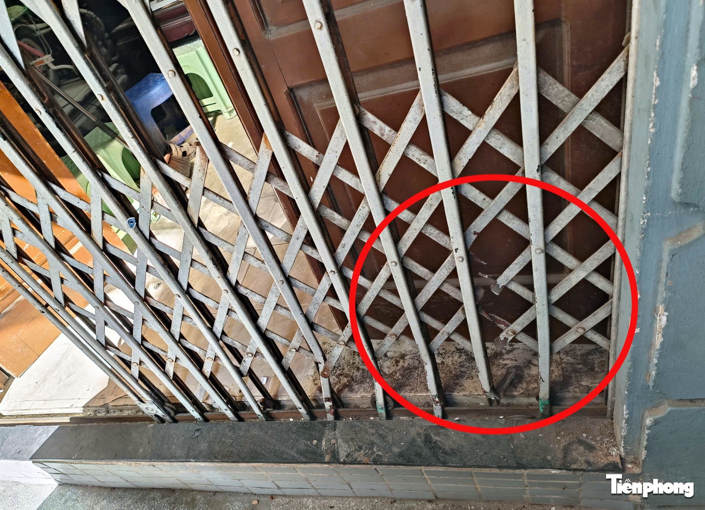 Toi pham ma tuy,  Dung sung chong tra anh 4