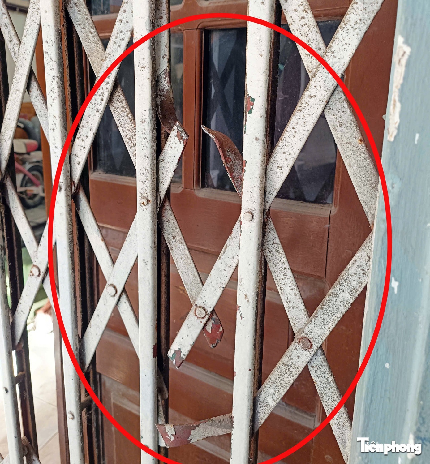 Toi pham ma tuy,  Dung sung chong tra anh 5