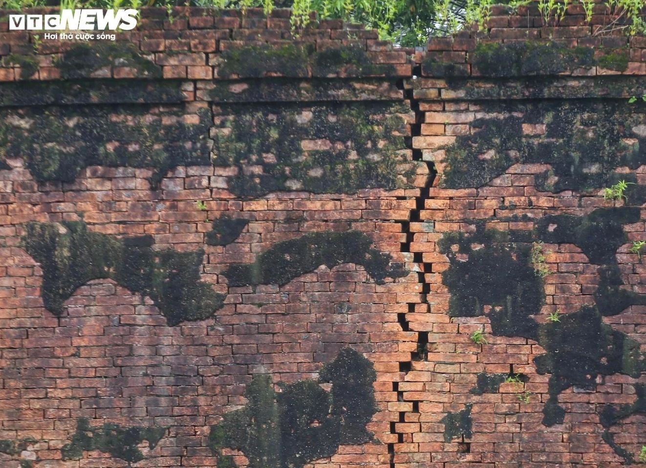 Lu Hoang thanh Hue anh 10