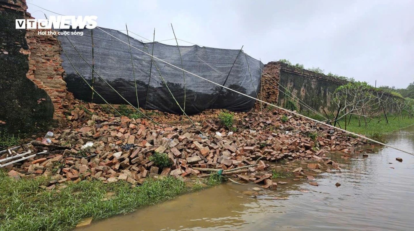 Lu Hoang thanh Hue anh 2