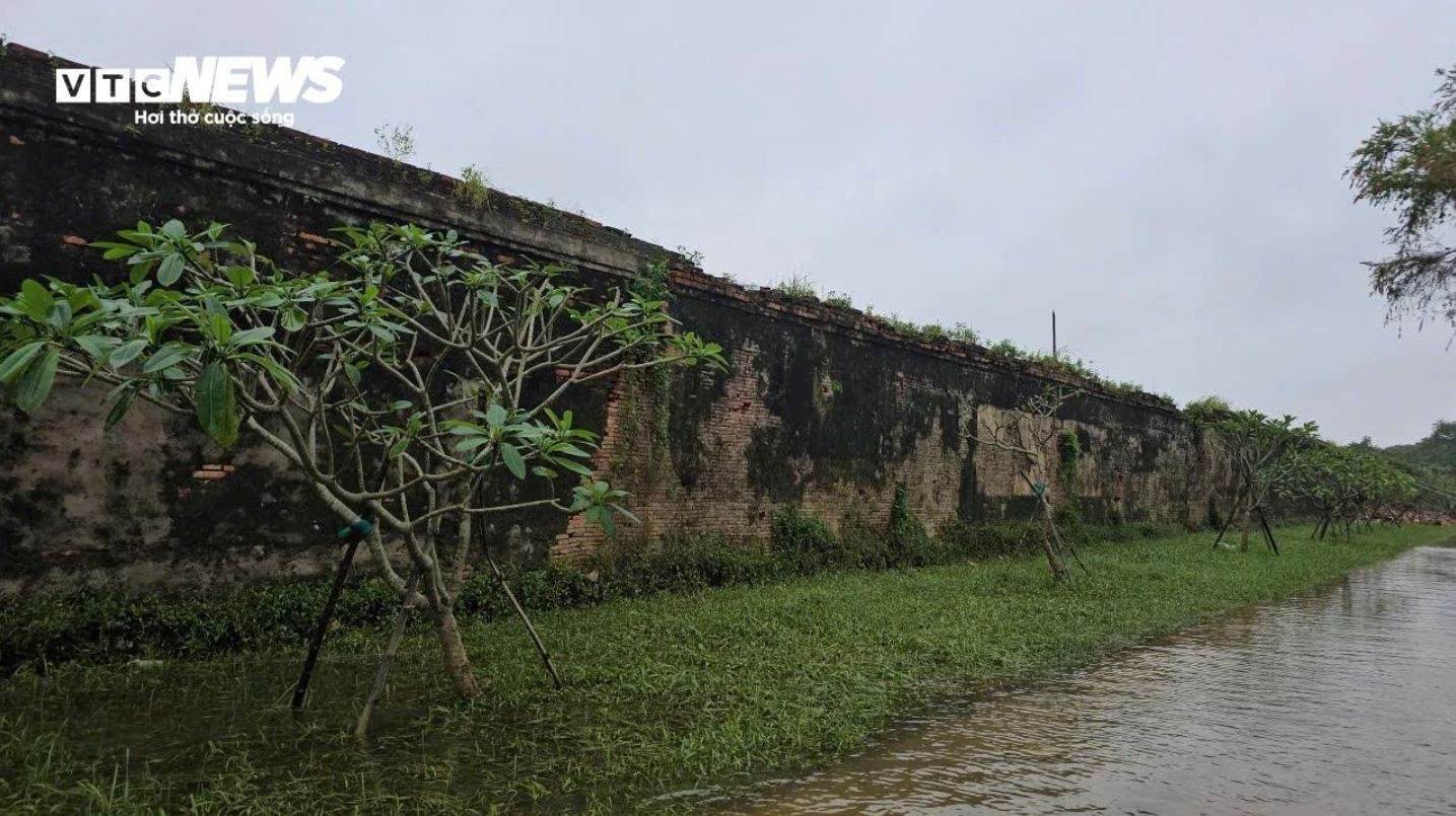 Lu Hoang thanh Hue anh 5