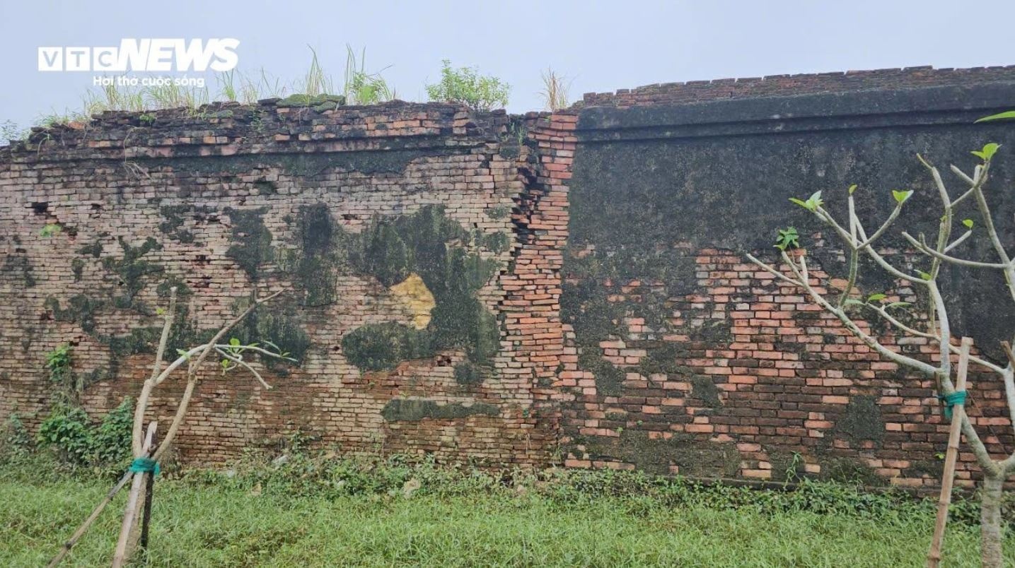 Lu Hoang thanh Hue anh 6