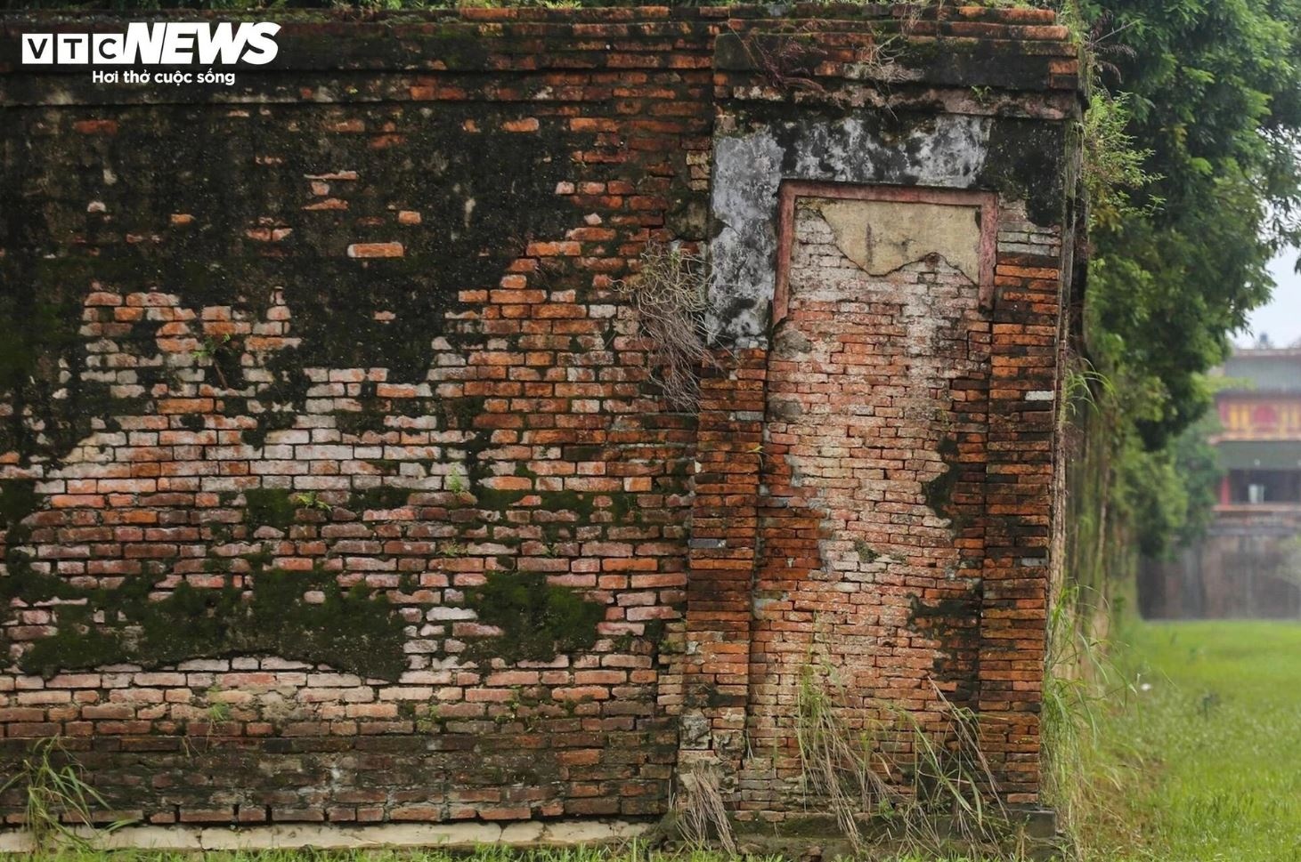 Lu Hoang thanh Hue anh 7