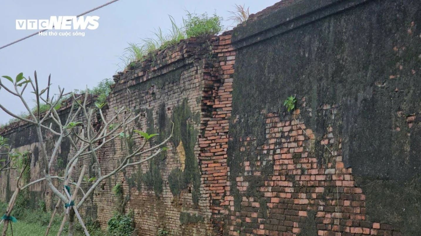 Lu Hoang thanh Hue anh 9