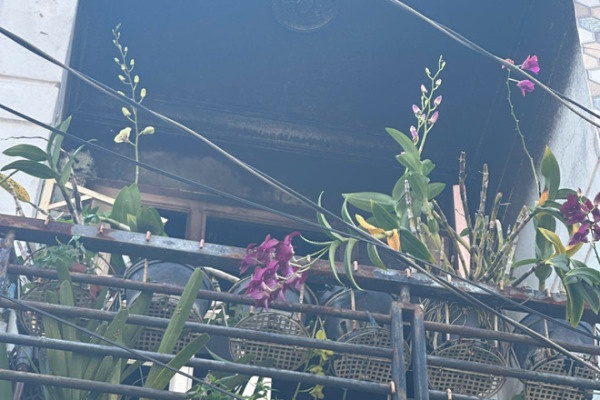 Dieu tra vu chay,  Be gai 8 tuoi,  Tu vong anh 2