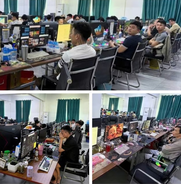 Triet pha,  duong day lua dao,  xuyen quoc gia,  Kich ban tinh vi,  Cong ty Dong Phuong anh 1