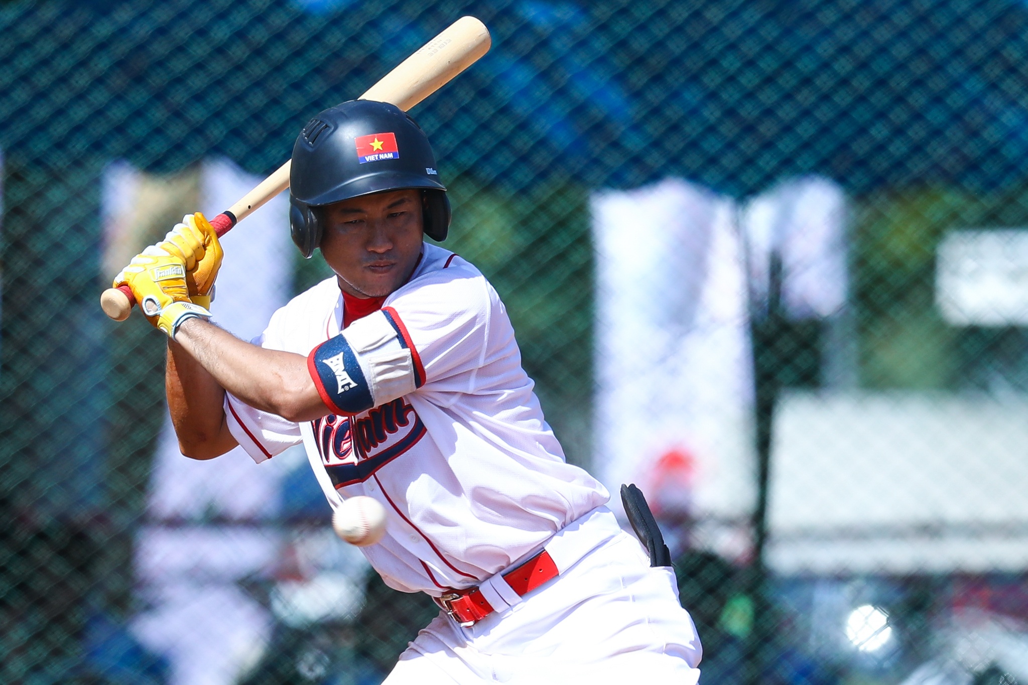 Baseboll SEA Games 33 foto 10 Bong chay SEA Games 33 anh 10