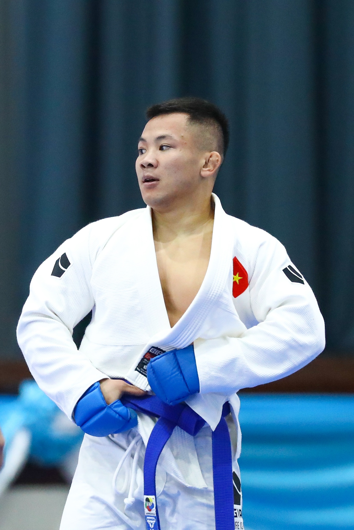 Dao Hong Son SEA Games foto 8 Dao Hong Son SEA Games anh 8