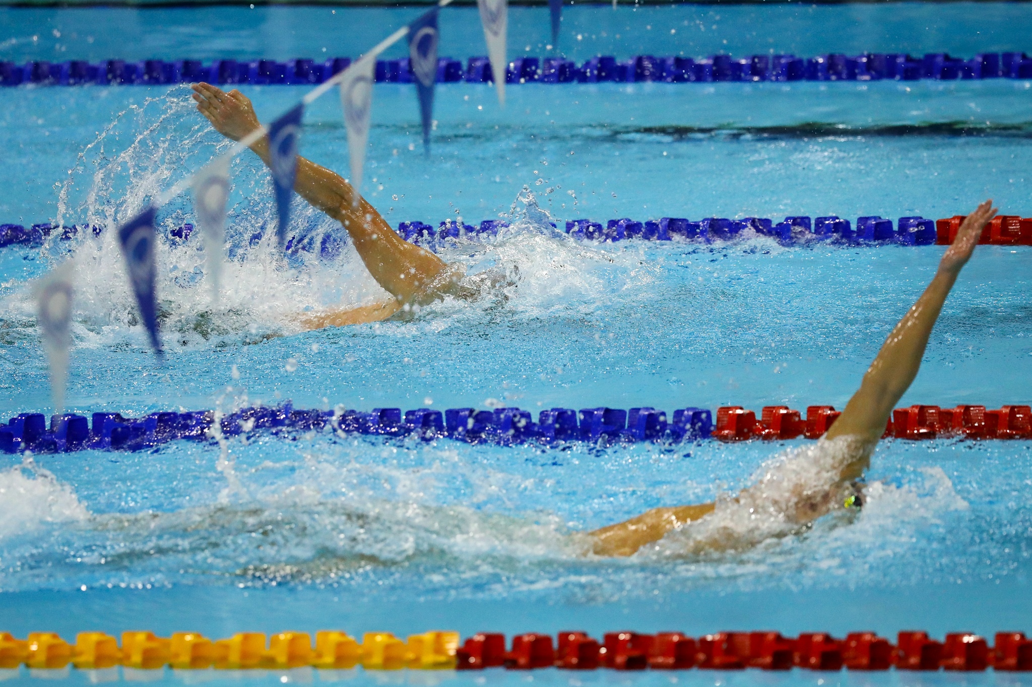 Anh Viens yngre bror (bilde 2) Em trai Anh Vien anh 2