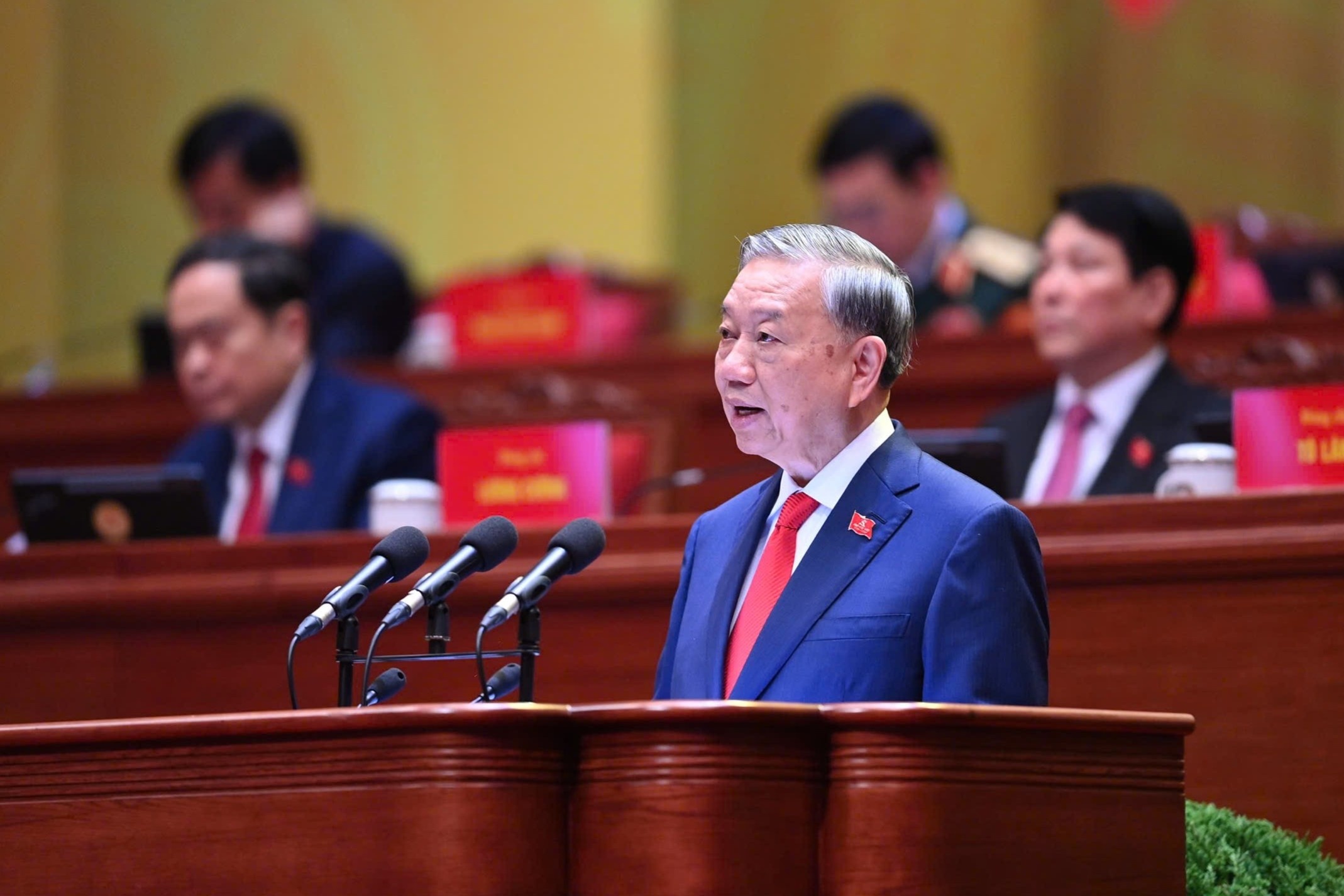 Dai hoi Dang XIV anh 1