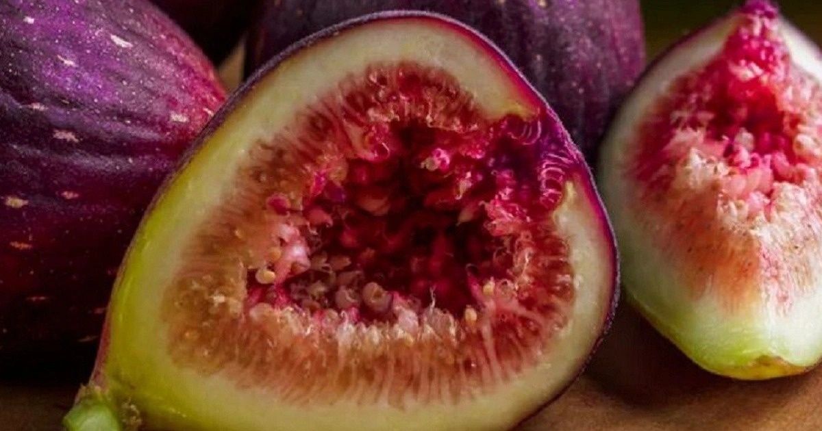 Khi qua va quy hon vang: Mot vu buon lau trong dem o Athens co dai hinh anh