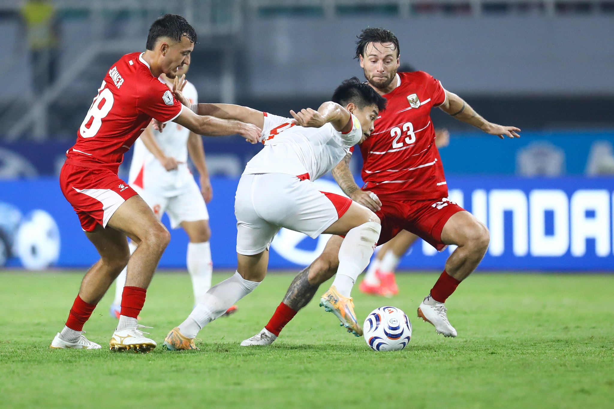 Đ&igrave;nh Bắc tuyển Việt Nam ảnh 6