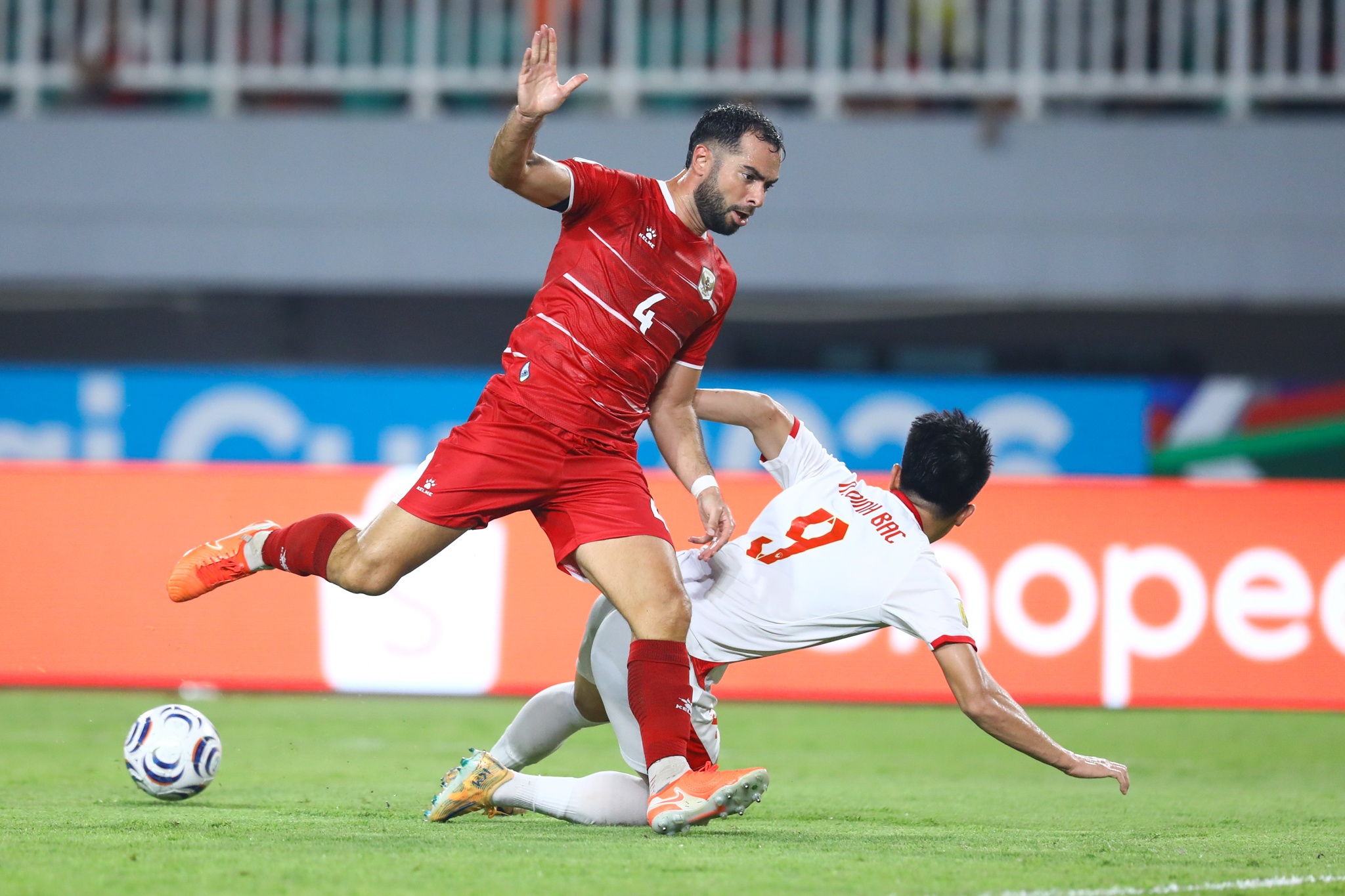 Đ&igrave;nh Bắc tuyển Việt Nam ảnh 9