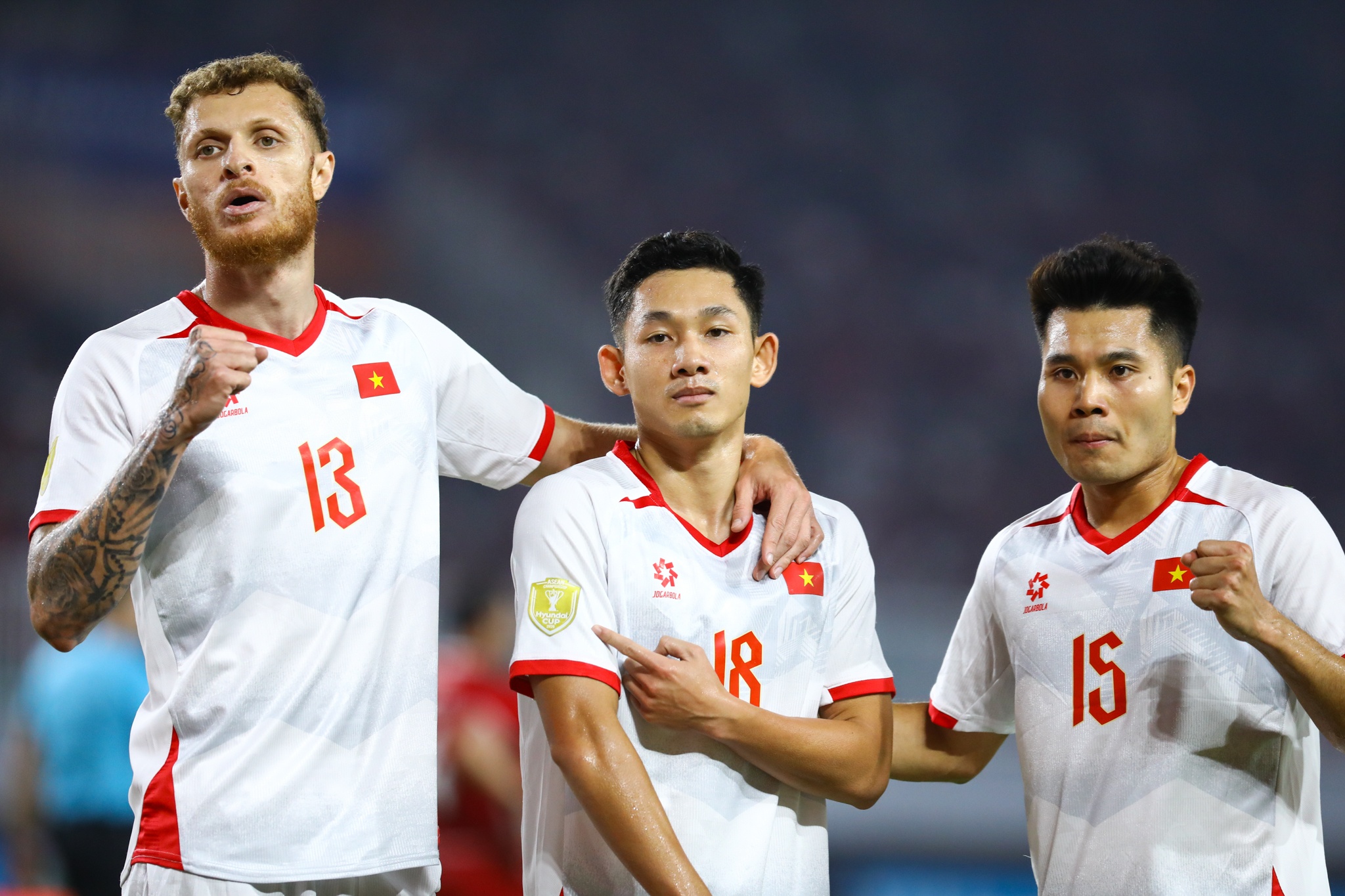 B&ugrave;i Ho&agrave;ng Việt Anh ảnh 10