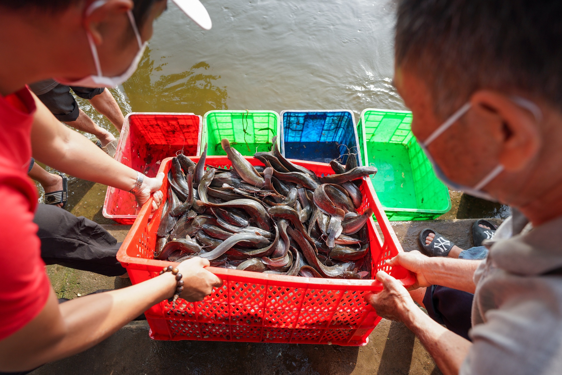 Phong sinh hon 1 tan ca tre xuong song Sai Gon hinh anh