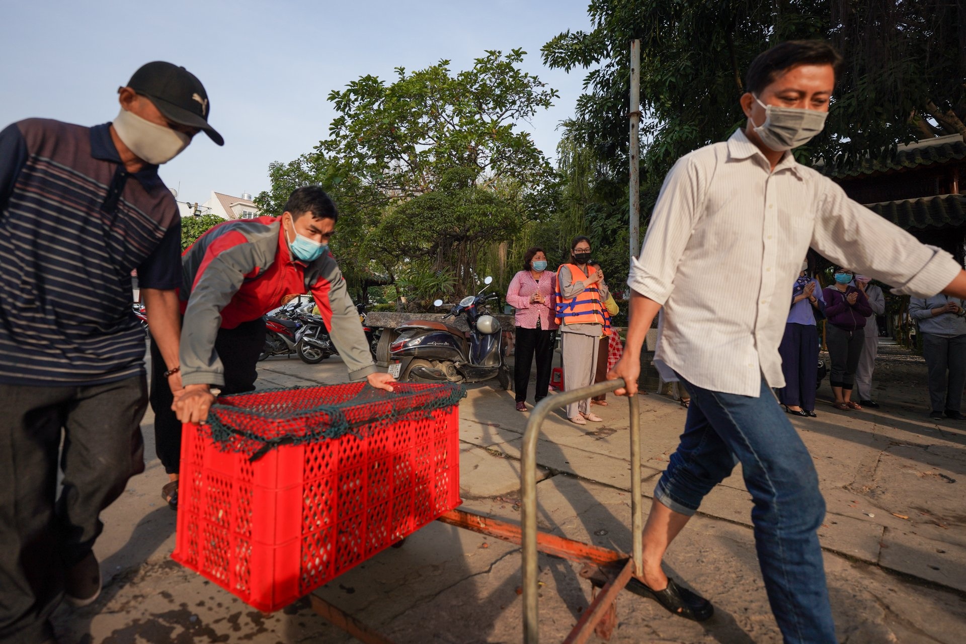 Phong sinh hon mot tan ca anh 3