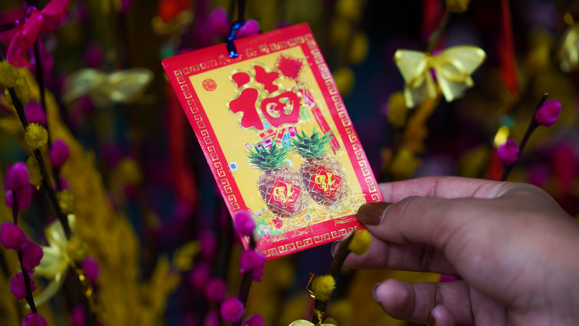 cái Tết đầu tiên tại TP.HCM ảnh 29 cai Tet dau tien tai TP.HCM anh 29