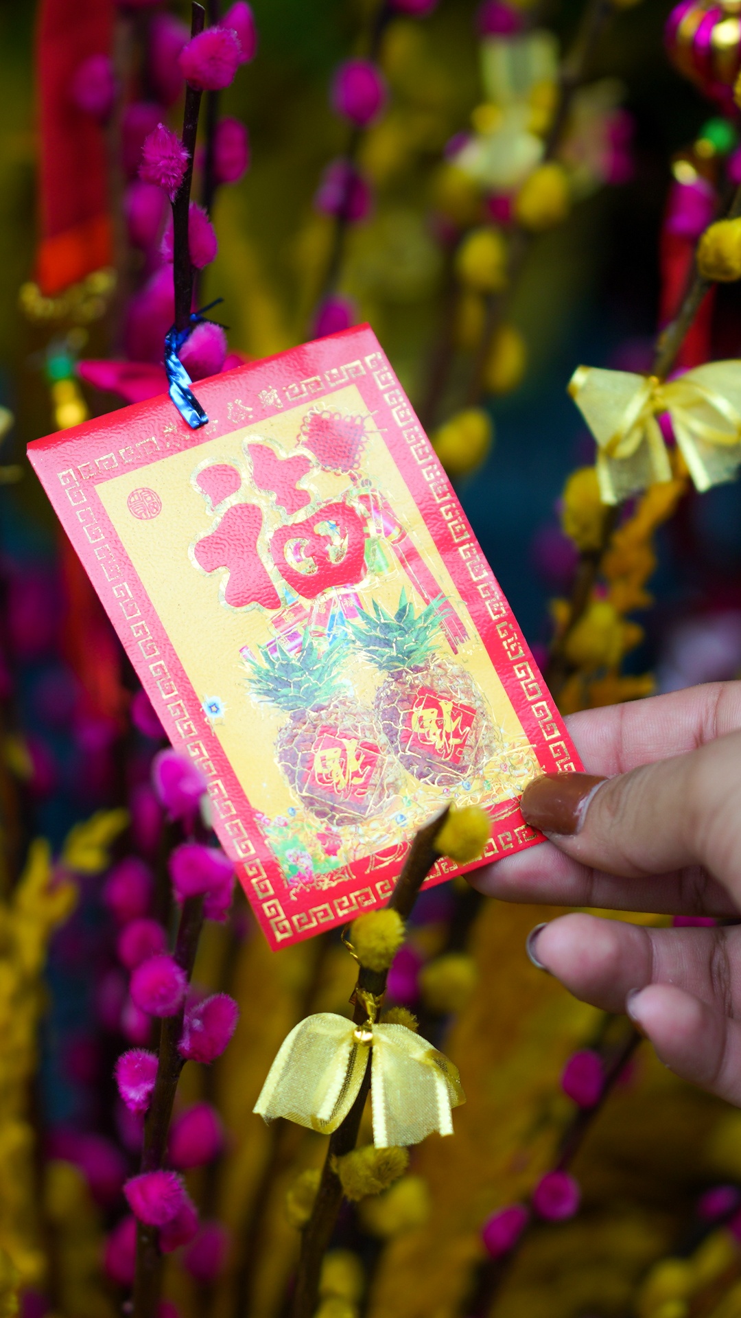 cái Tết đầu tiên tại TP.HCM ảnh 30 cai Tet dau tien tai TP.HCM anh 30