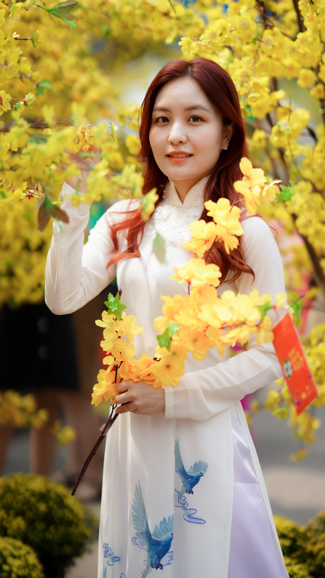 cái Tết đầu tiên tại TP.HCM ảnh 4 cai Tet dau tien tai TP.HCM anh 4