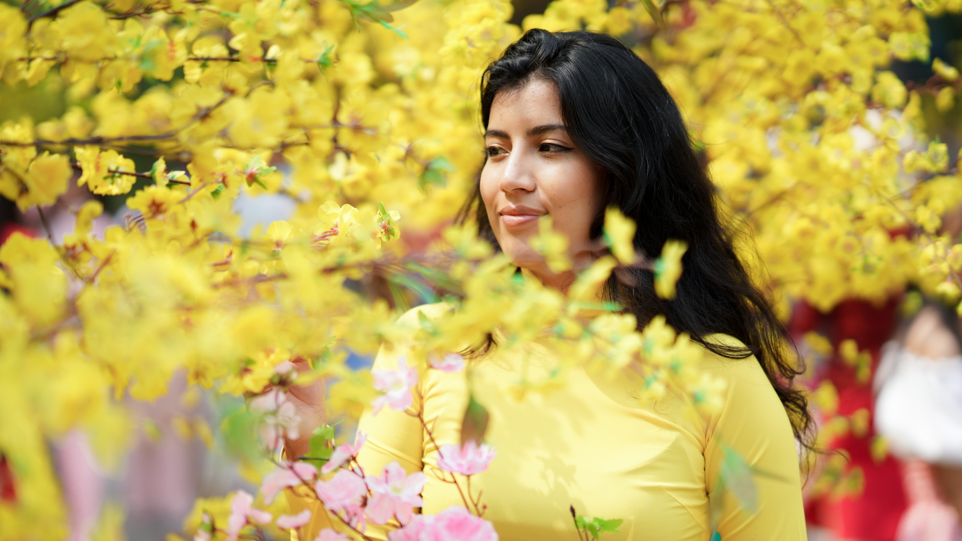 cái Tết đầu tiên tại TP.HCM ảnh 2 cai Tet dau tien tai TP.HCM anh 2