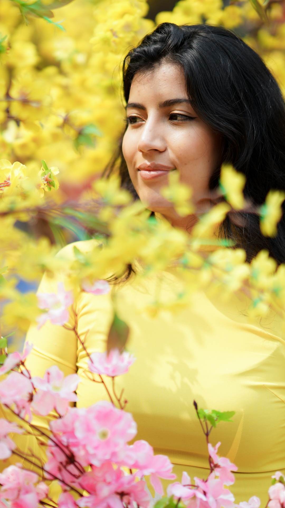 cái Tết đầu tiên tại TP.HCM ảnh 1 cai Tet dau tien tai TP.HCM anh 1