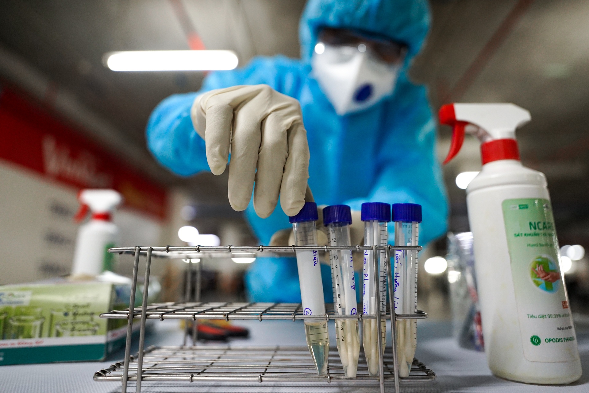 chum ca nhiem o tu vien TP.HCM anh 1