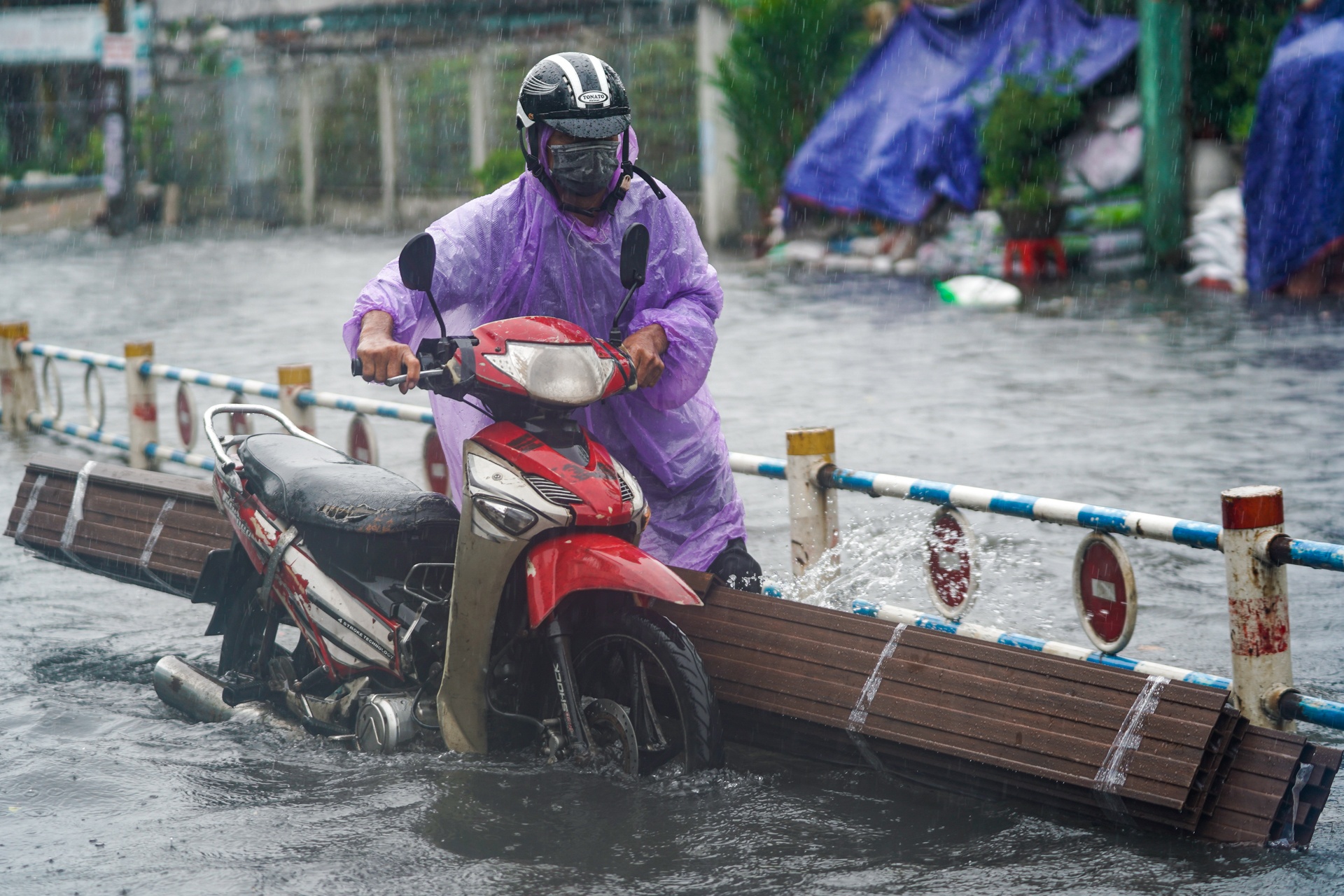 Mua lon sang som o TP.HCM anh 6
