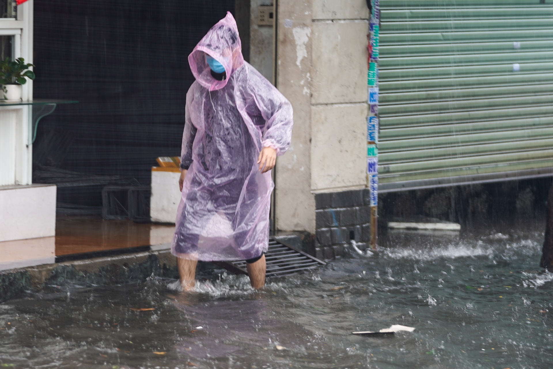 Mua lon sang som o TP.HCM anh 8