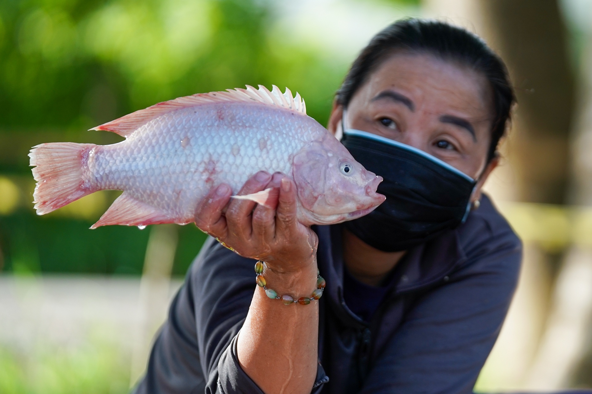 Bien san bong thanh cho da chien anh 7