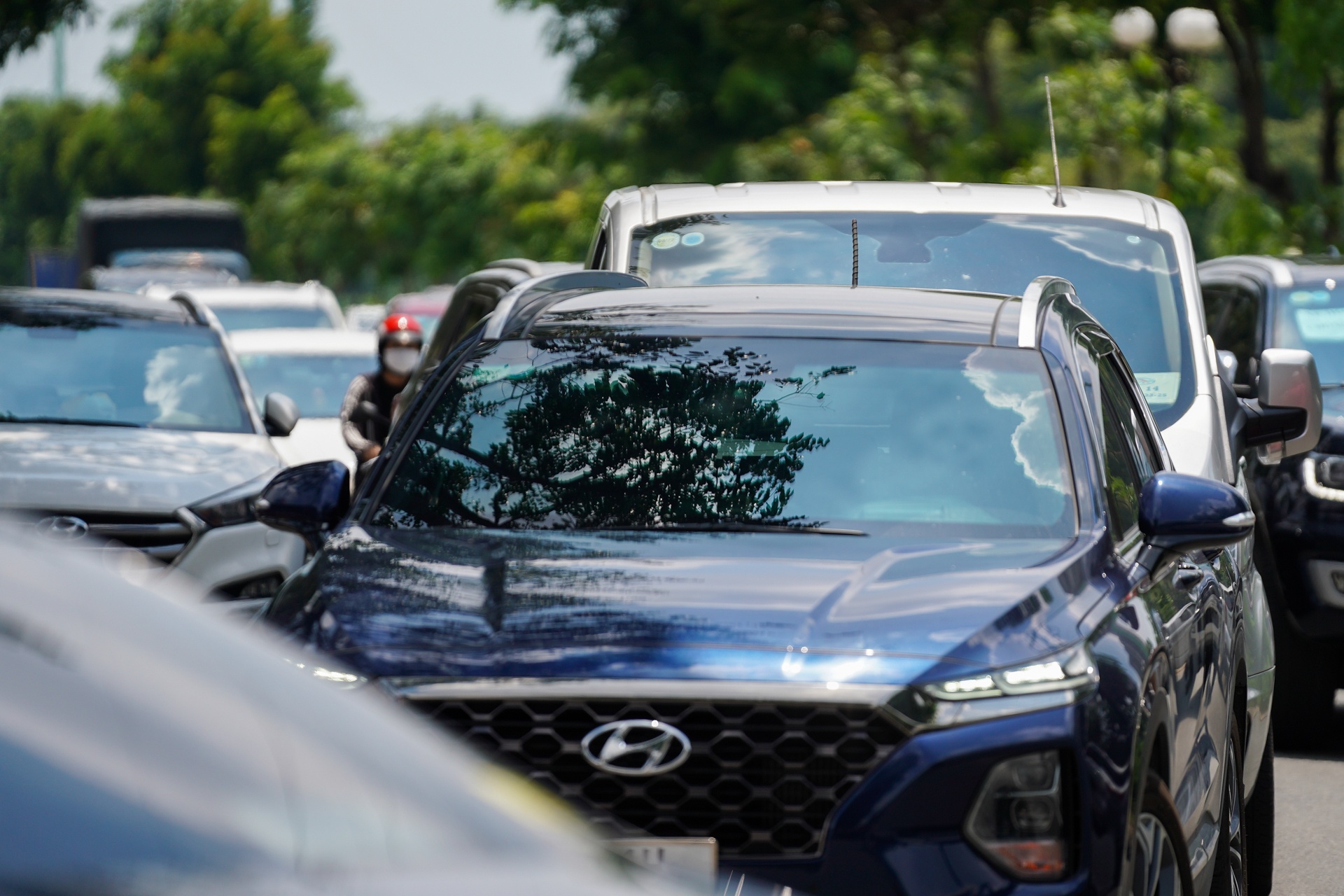 Sieu thi dong duc anh 2