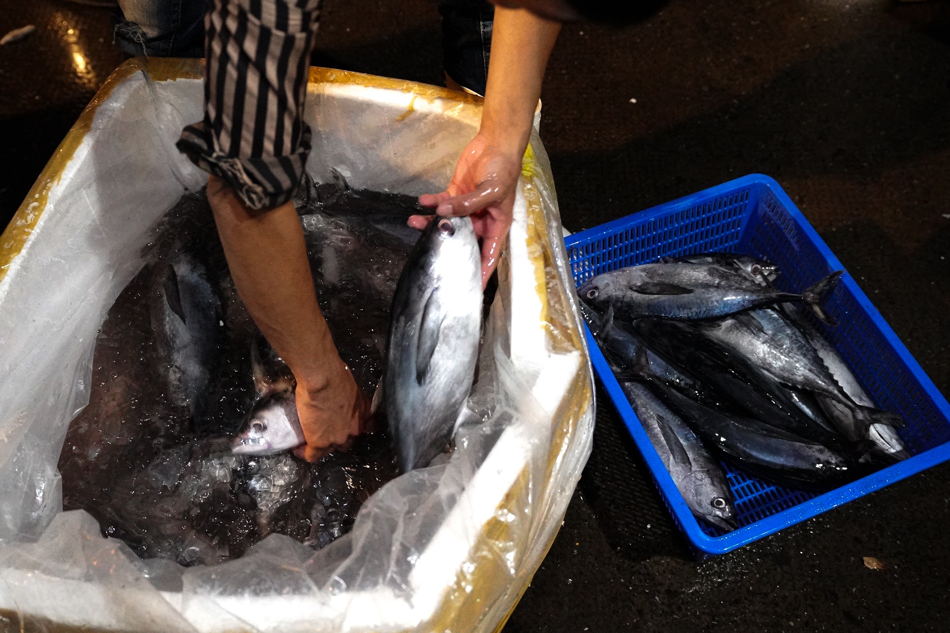 Diem trung chuyen hang hoa anh 8