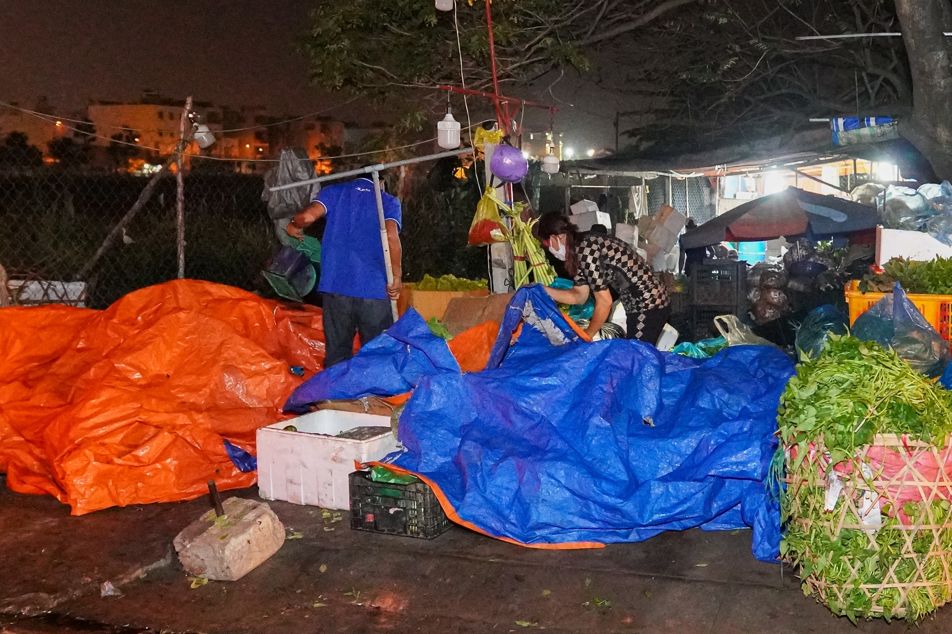 Cho tu phat quang cho dau moi anh 6