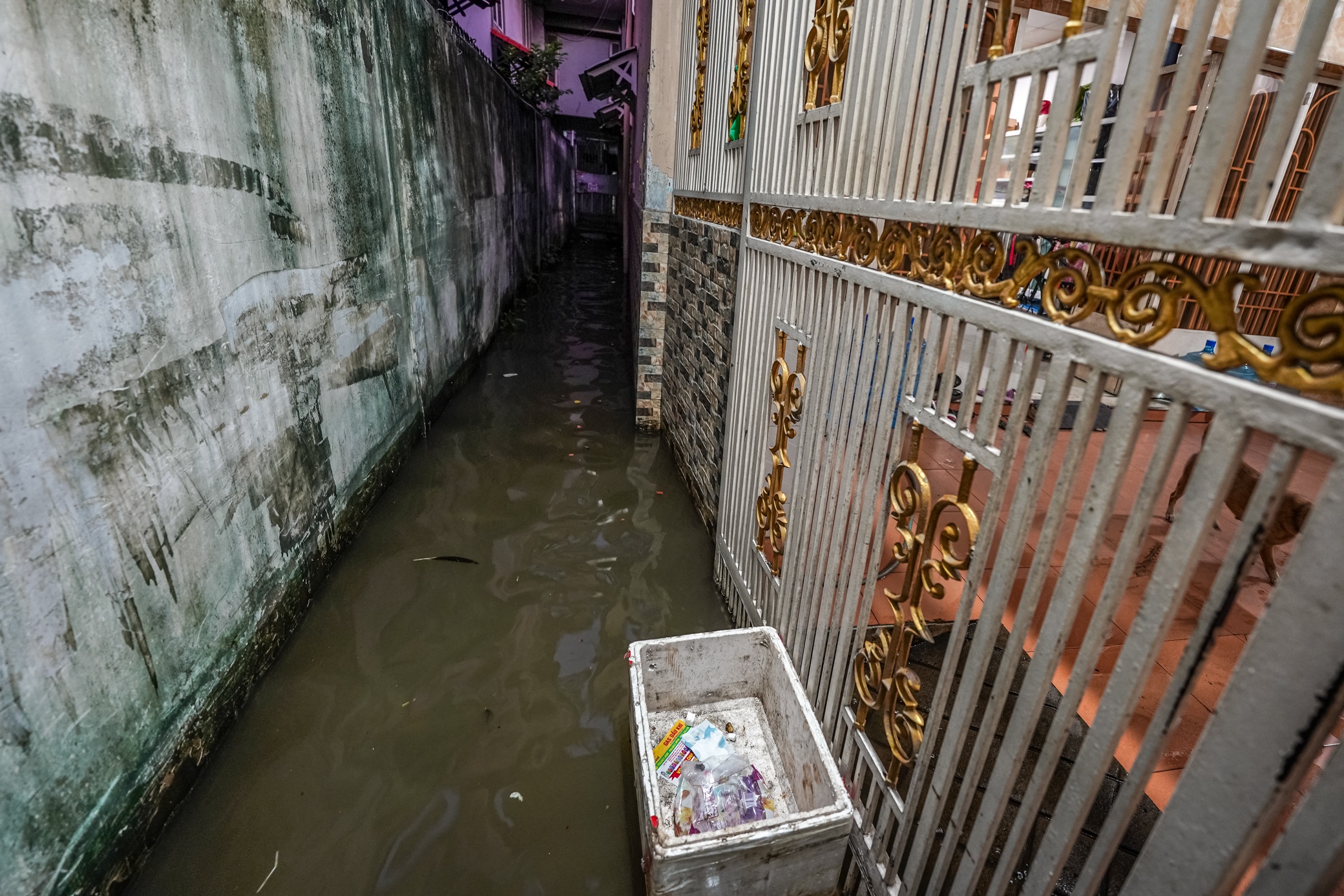 Thuy trieu dat dinh anh 10